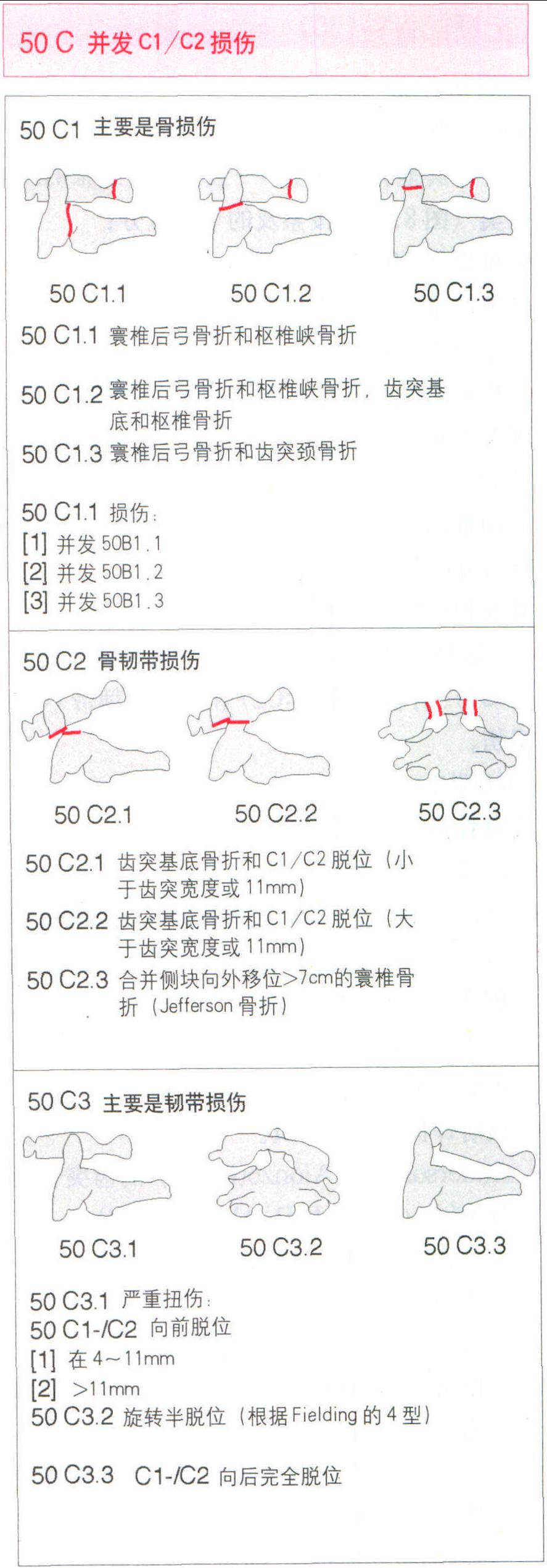 頸部脊柱(50,51)